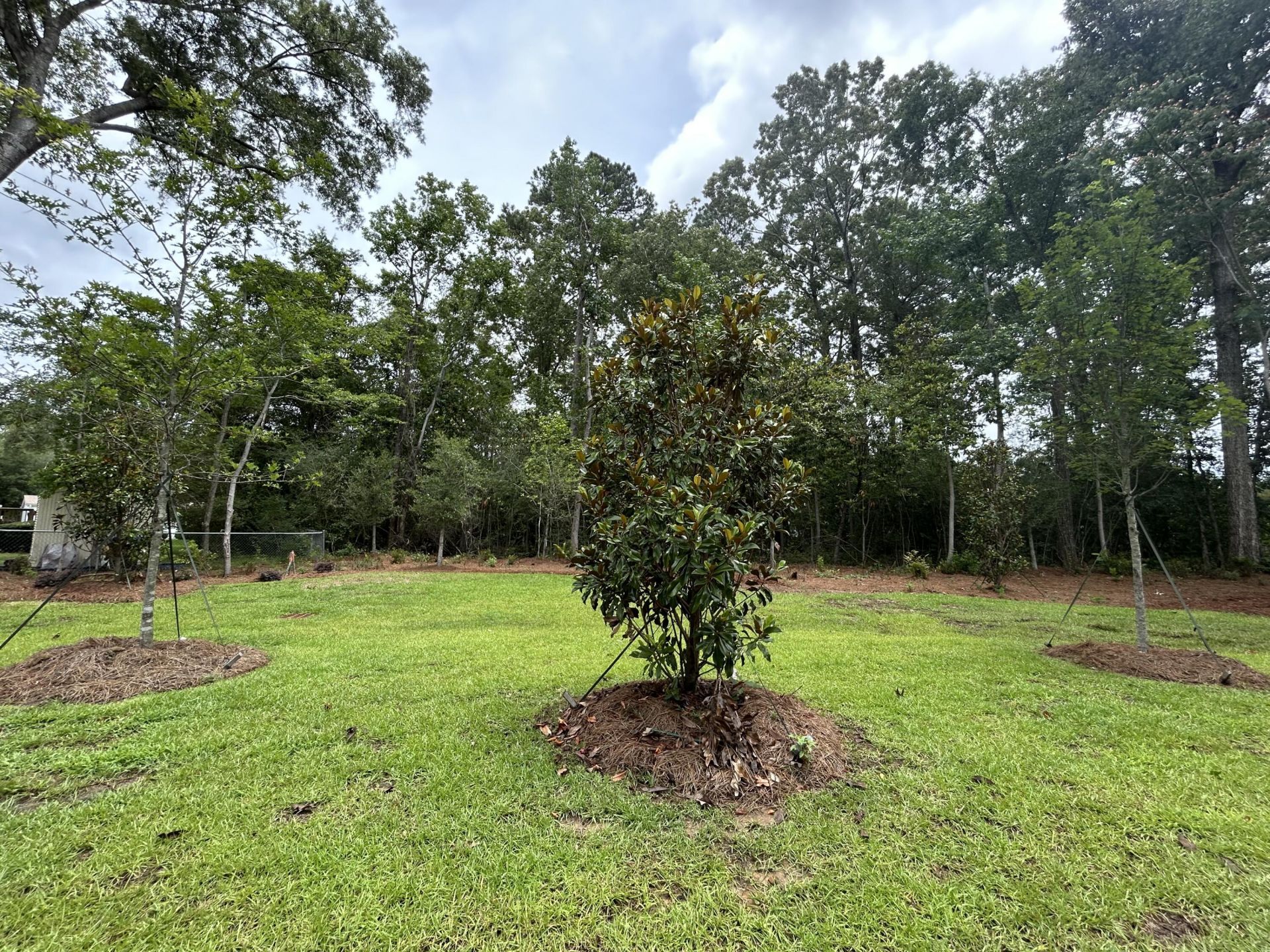 125 Berry Shoals Drive Photo 43