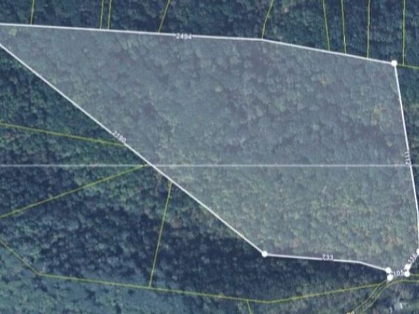 0 Seymour Hollow Road, Whites Creek, TN 37189