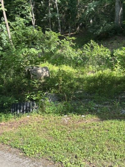 0 Seymour Hollow Road, Whites Creek, TN 37189 Main Photo