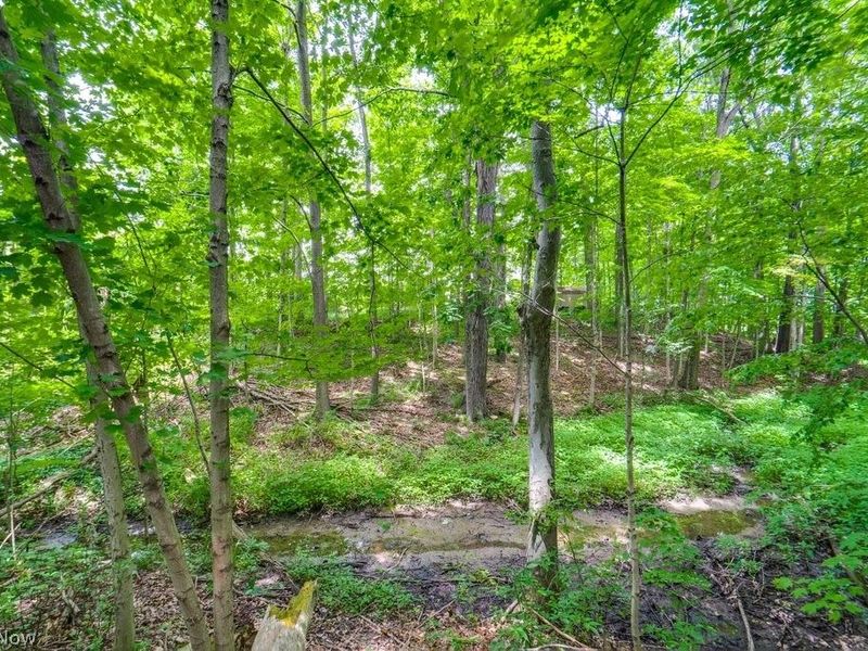 15292 Friendsville Road, Burbank, OH 44214 Photo 8