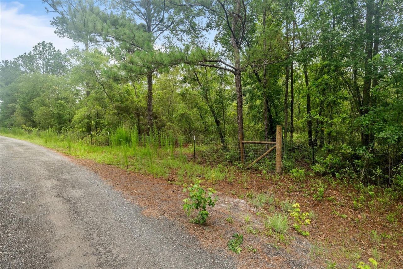 Tbd Retreat Road , Keystone Heights, FL 32656 Photo