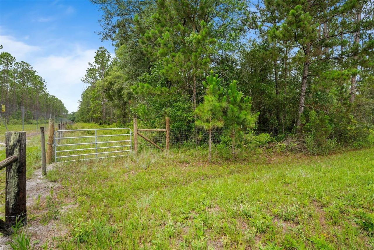 Tbd Retreat Road , Keystone Heights, FL 32656 Photo