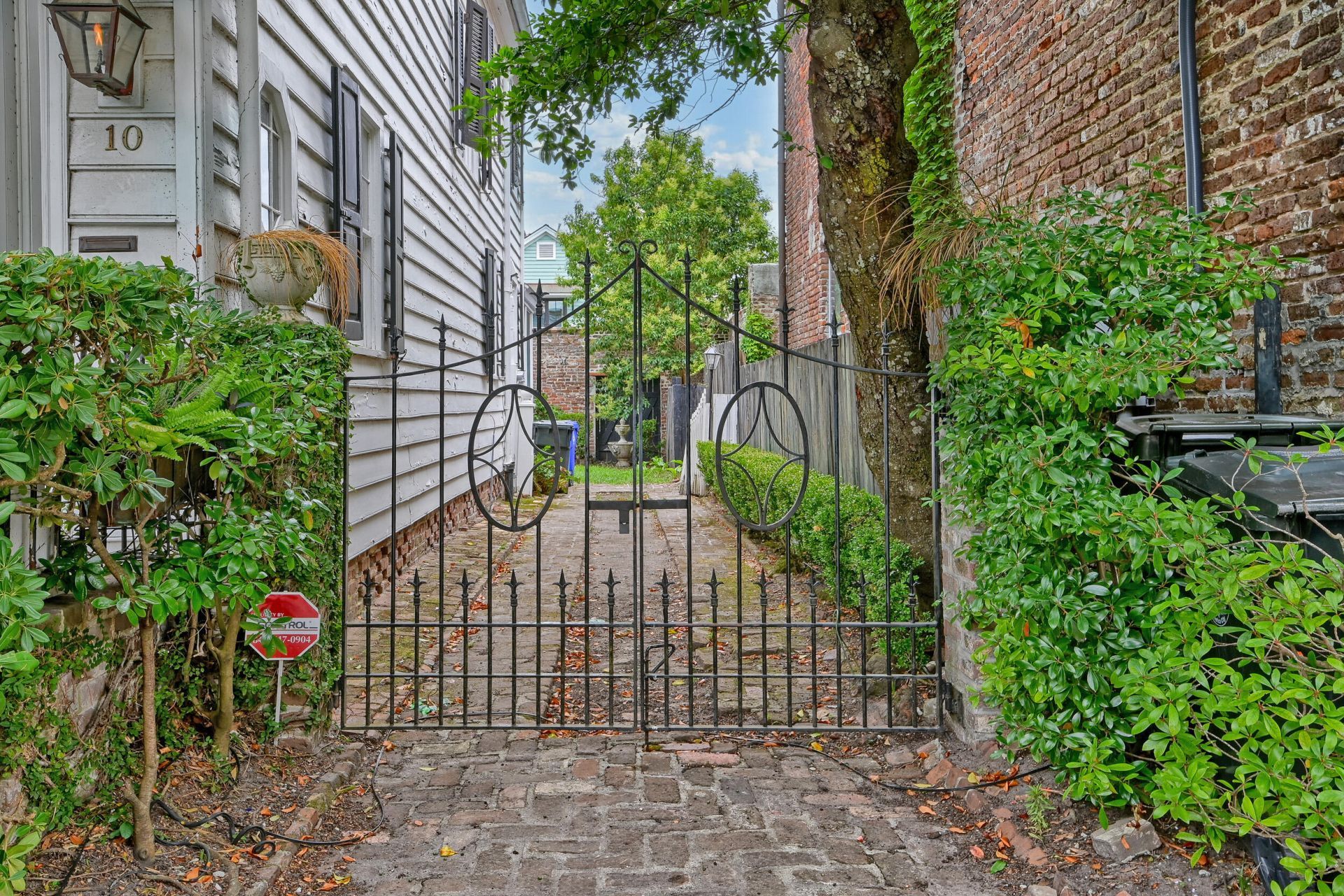 10 Chalmers Street Photo 16