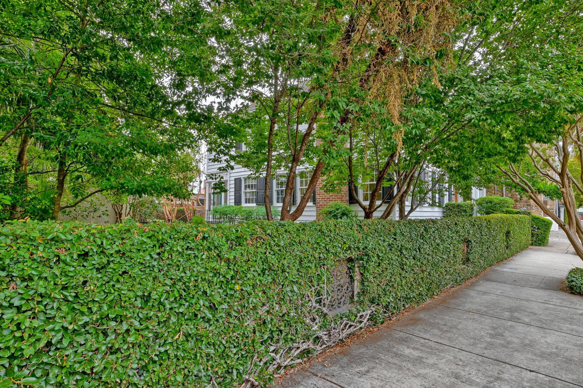 10 Chalmers Street Photo 39