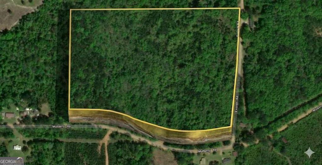 0 Mulberry/moore Road, Brantley, AL 36009 Main Photo