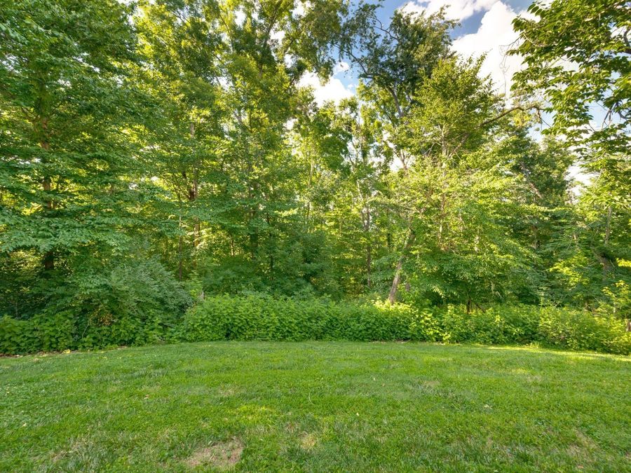 Property Image 54