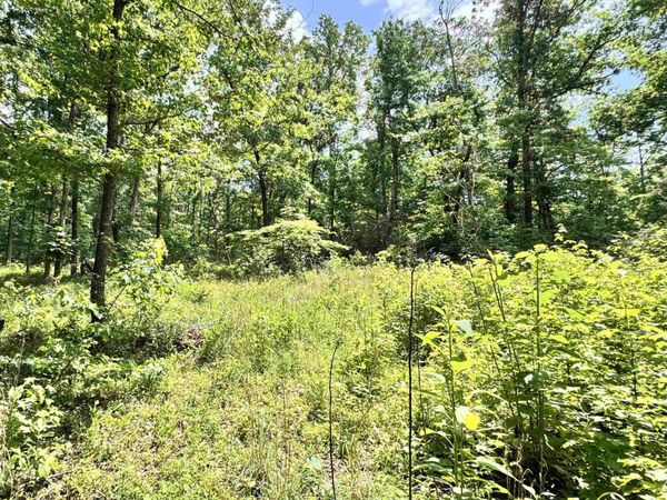 00 Meadow Creek Road, Clinton, AR 72031