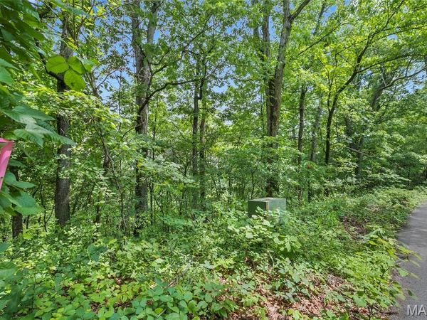 8.5 acres Clermont Drive , Festus, MO 63028