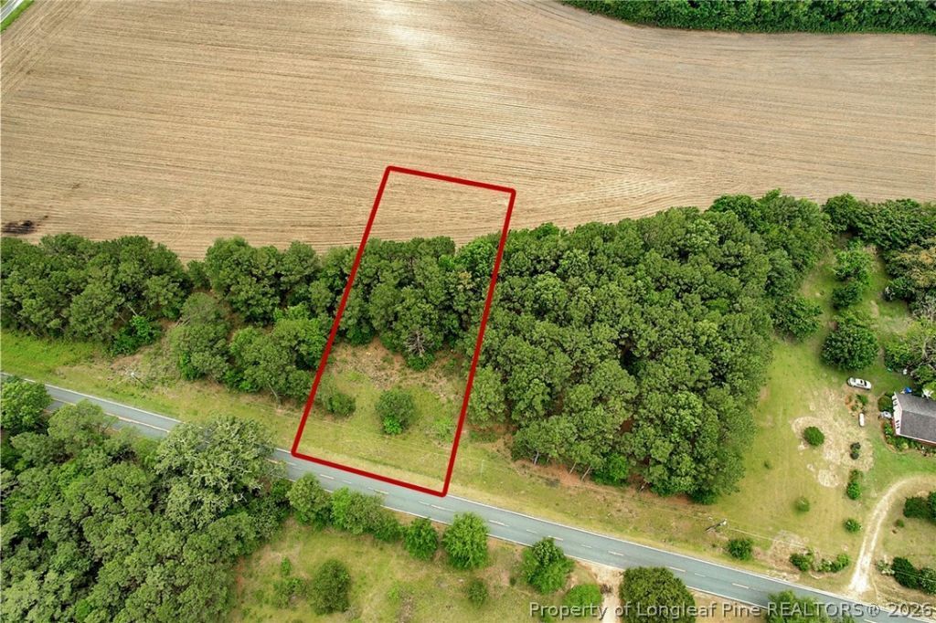 Tbd Quick Road, Lumber Bridge, NC 28357 Main Photo