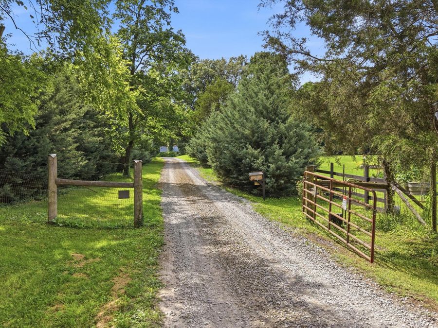 Property Image 65