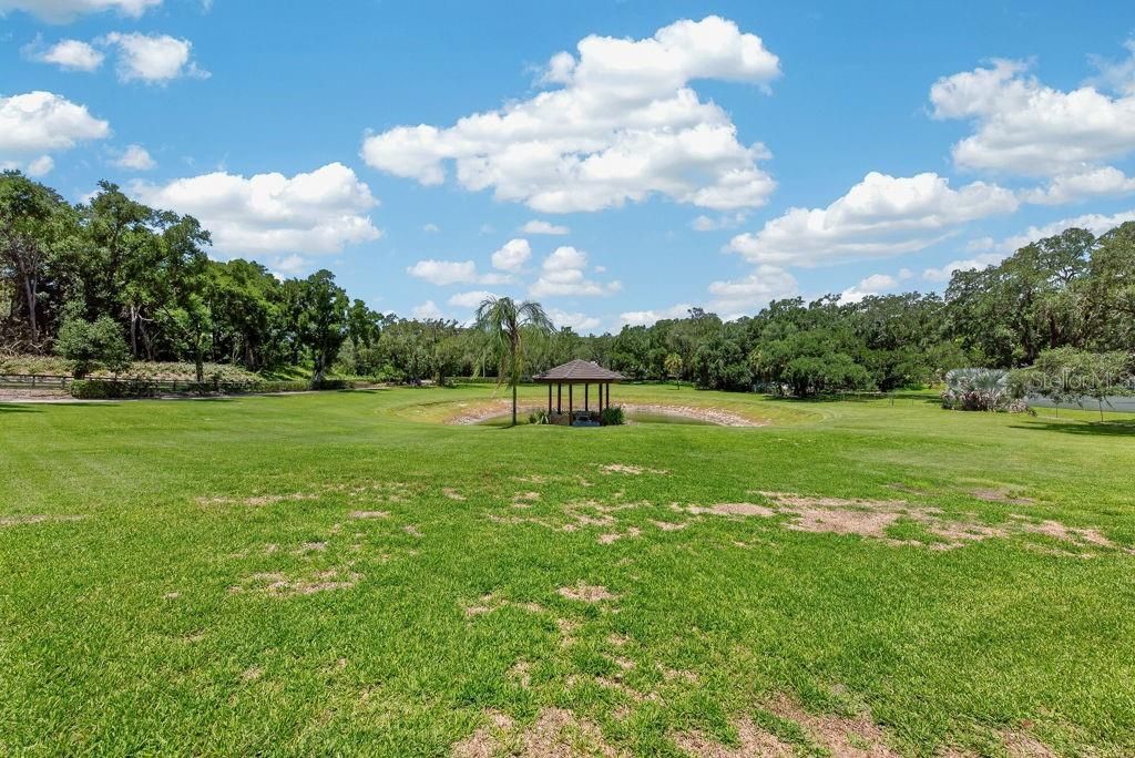 1007 Lakewood Drive, Brandon, FL 33510 Photo