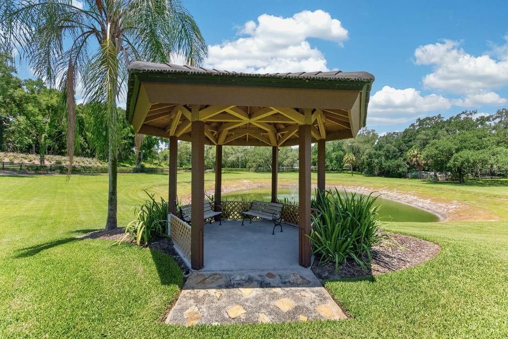 1007 Lakewood Drive, Brandon, FL 33510 Photo