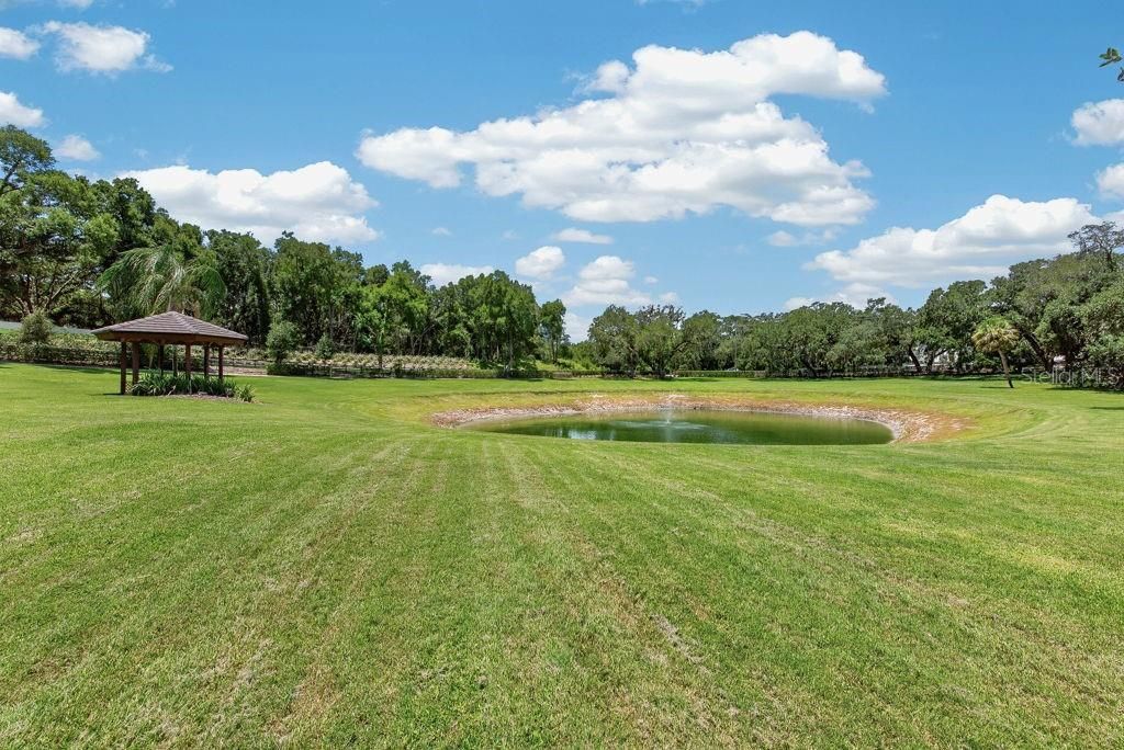 1007 Lakewood Drive, Brandon, FL 33510 Photo