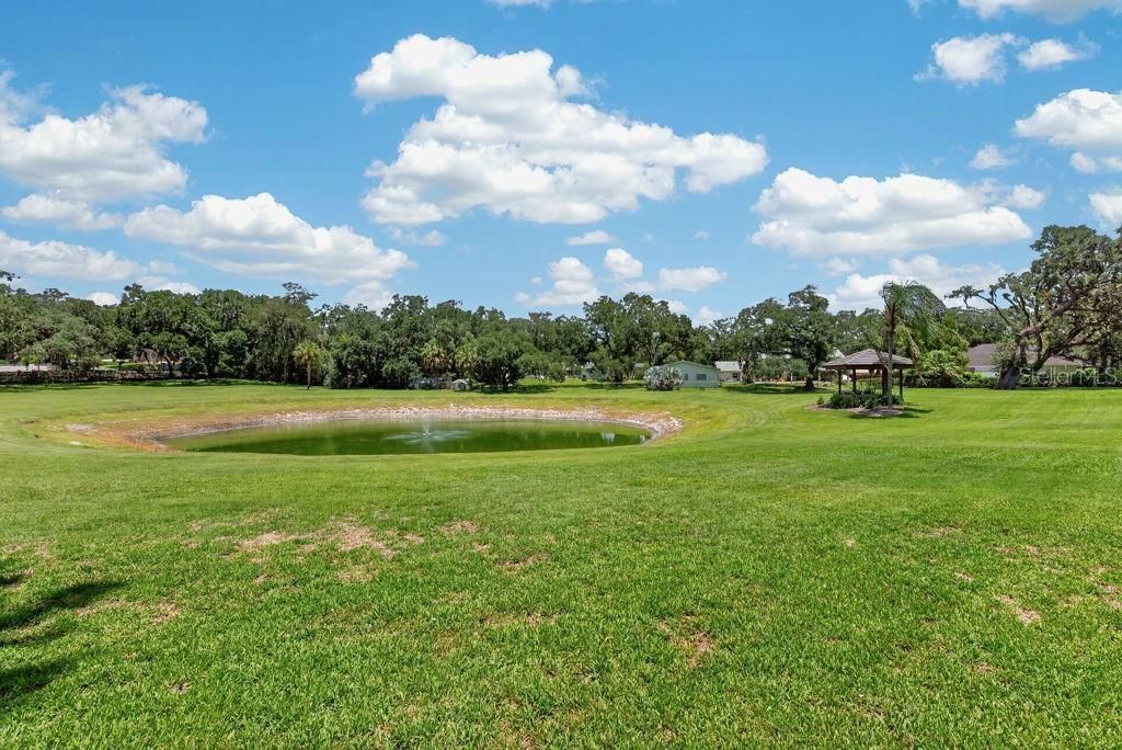 1007 Lakewood Drive, Brandon, FL 33510 Photo