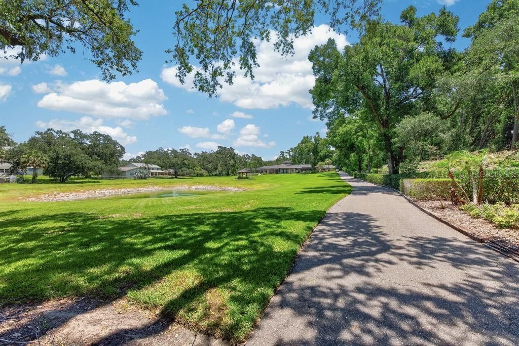 1007 Lakewood Drive, Brandon, FL 33510 Photo