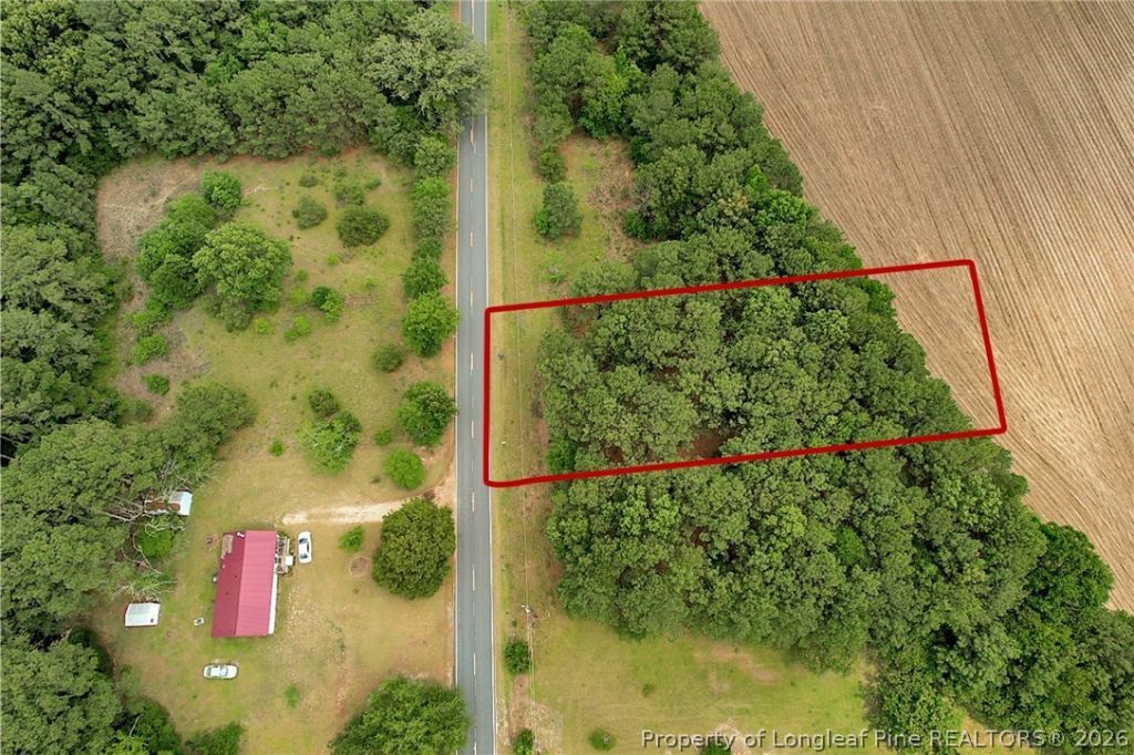Tbd Quick Road, Lumber Bridge, NC 28357 Main Photo