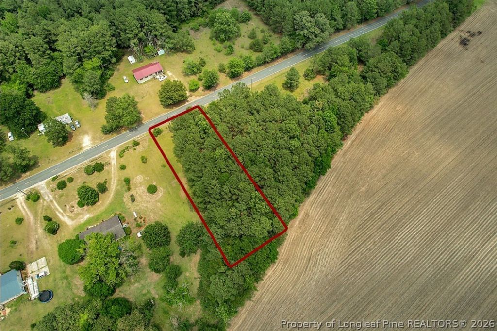 Tbd Quick Road, Lumber Bridge, NC 28357 Main Photo