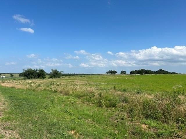 Lot 20 Monarch Court, Poolville, TX 76487 Main Photo