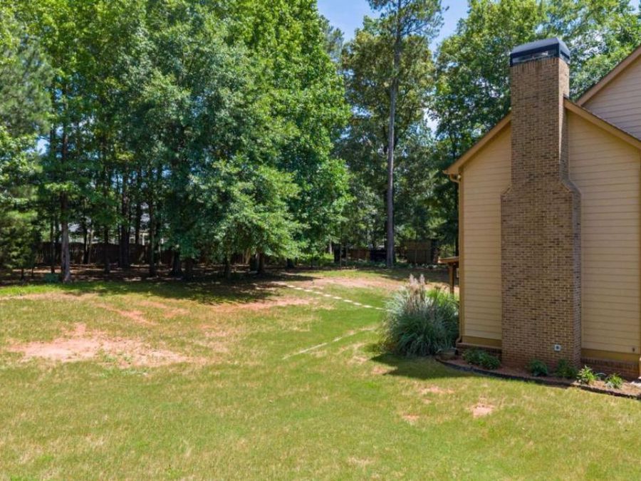 Property Image 42