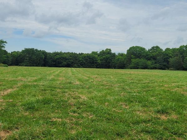 1 Manire Rd , Chapel Hill, TN 37034