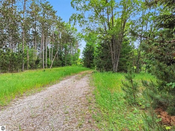 12 1/2 Road W, Mesick, MI 49668