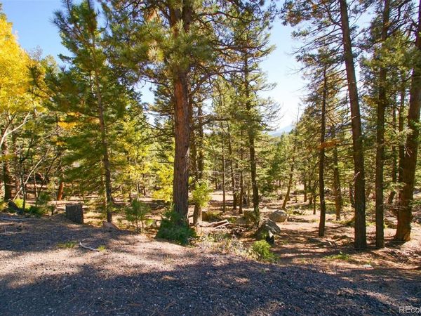 30402 Kings Valley E, Conifer, CO 80433