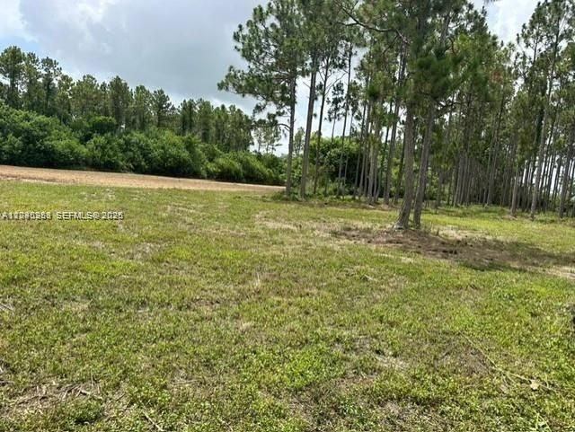 19440 SW 232 St, Homestead, FL 33034 Photo