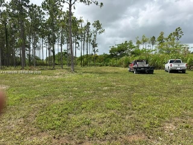 19440 SW 232 St, Homestead, FL 33034 Photo