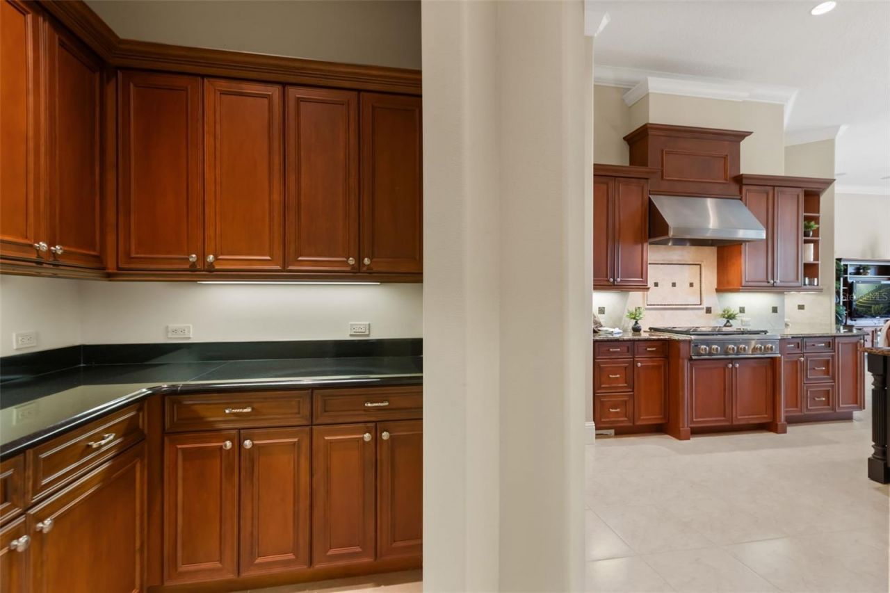 26010 Estates Ridge Drive, Sorrento, FL 32776 Photo