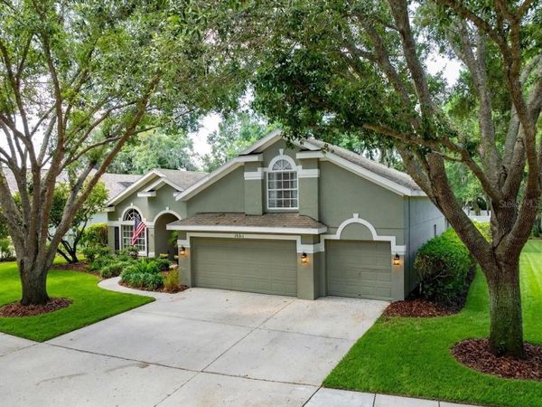 15211 MERLINGLEN PLACE , LITHIA, FL 33547