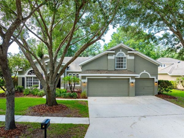 15211 MERLINGLEN PLACE, LITHIA, FL 33547