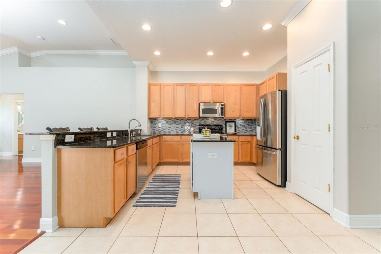 15211 Merlinglen Place , Lithia, FL 33547 Photo