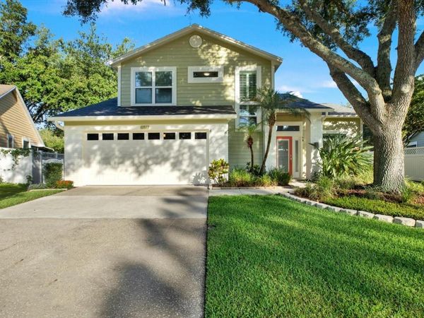 17613 ESPRIT DRIVE, TAMPA, FL 33647