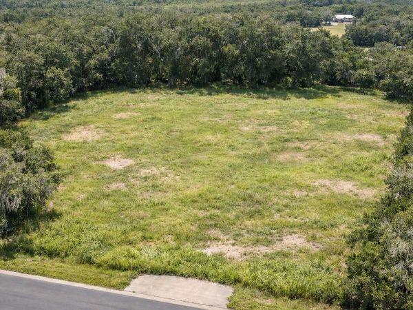 17385 LIVINGSTON AVENUE , LUTZ, FL 33559