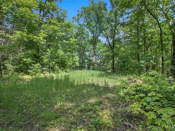 8.75 acres Mississippi Queen Court , Festus, MO 63028