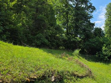 19 Harlan Lane, Buckhorn, KY 41721