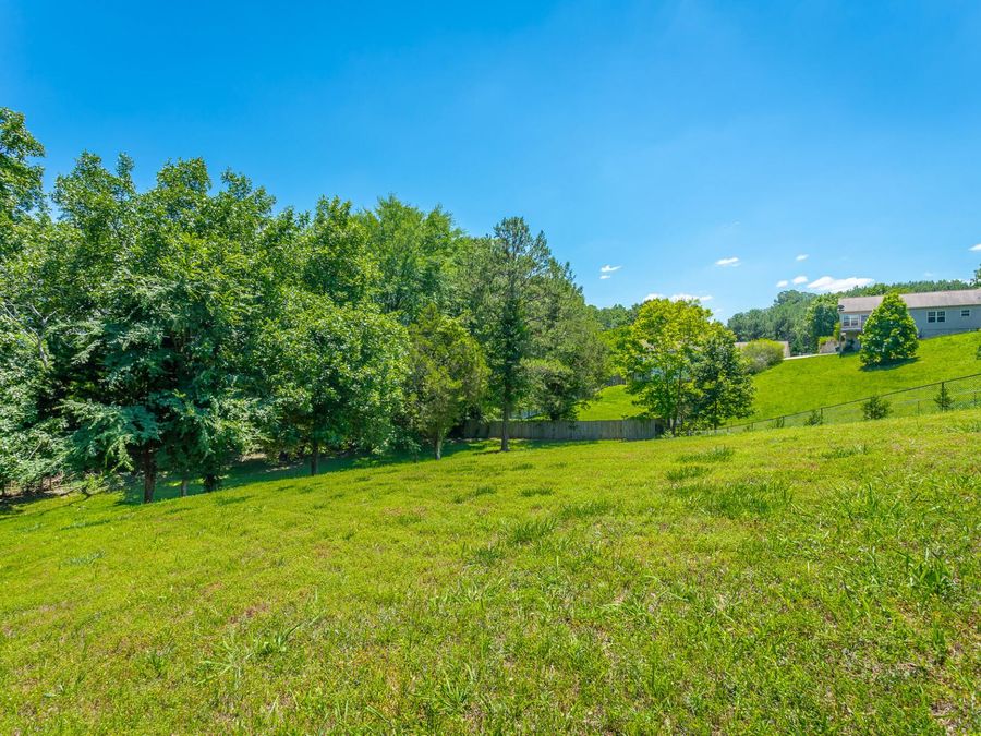 Property Image 54