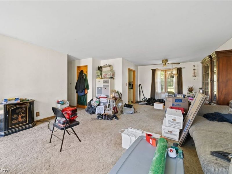 202 Grandview Drive, Lodi, OH 44254 Photo 6