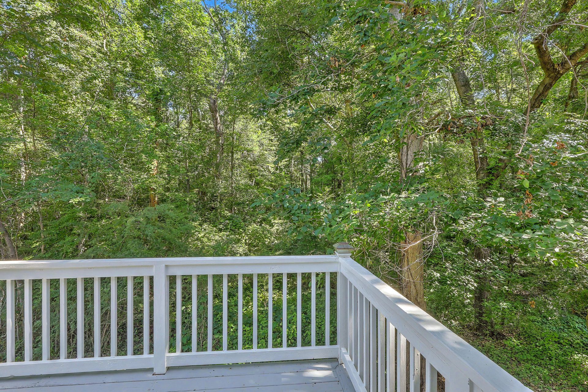 2033 Shoal Creek Court Photo 41