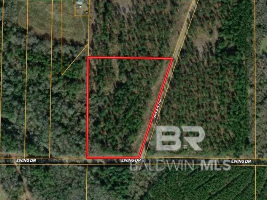 Property Image 5