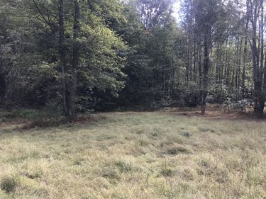 TBD Farmhouse Trail , Unit 91 Acres L, Morehead, KY 40351