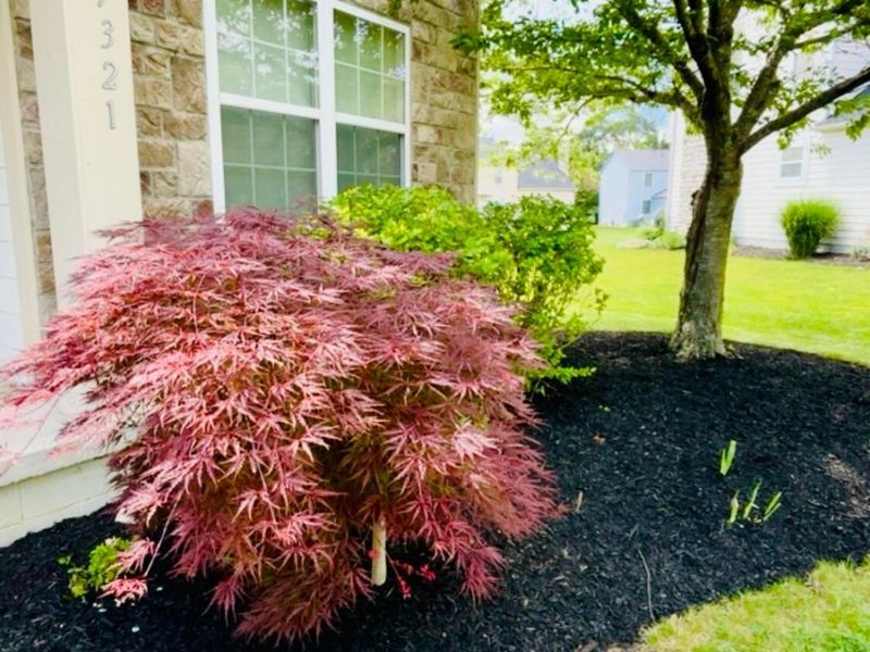 7321 Clover Park Way, Dublin, OH 43016 Photo 6