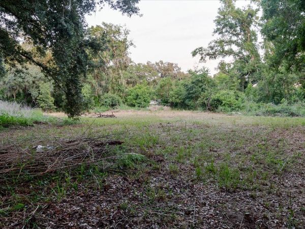 11152 GALAXY LANE , THONOTOSASSA, FL 33592