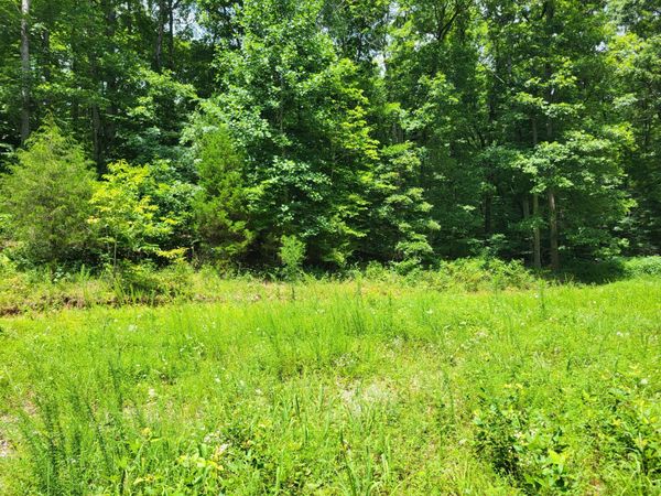1 Mt Carmel Rd , Mosheim, TN 37818