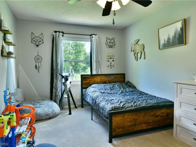 2484 Mahan Denman Road, Cortland, OH 44410 Photo 37