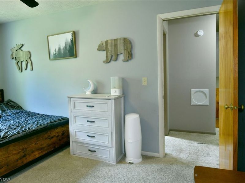 2484 Mahan Denman Road, Cortland, OH 44410 Photo 38
