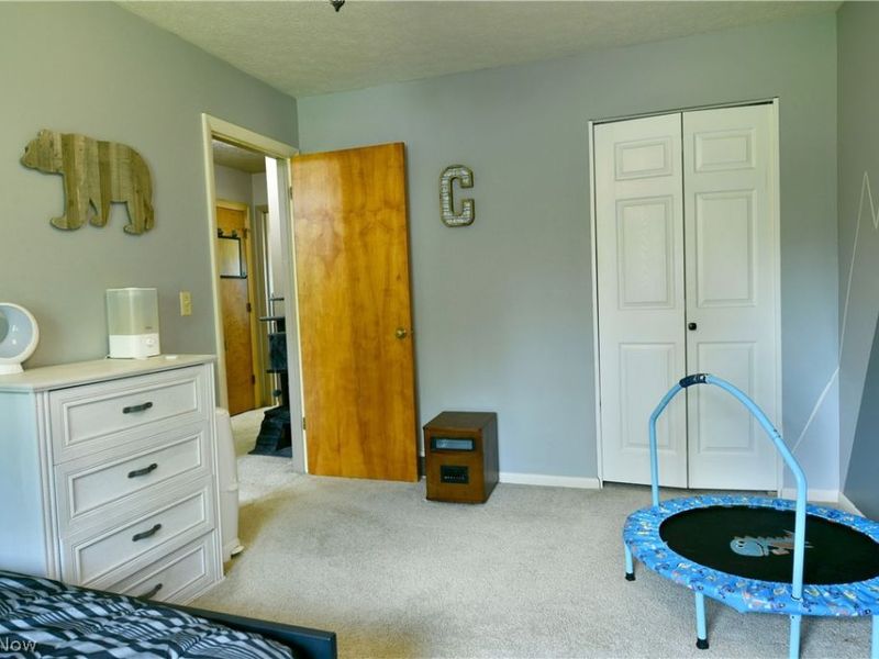 2484 Mahan Denman Road, Cortland, OH 44410 Photo 39