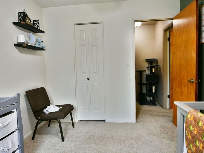 2484 Mahan Denman Road, Cortland, OH 44410 Photo 42