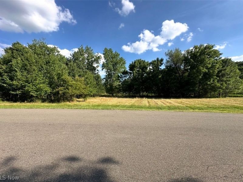 5218 Birkdale Street NW, Canton, OH 44708 Photo 3