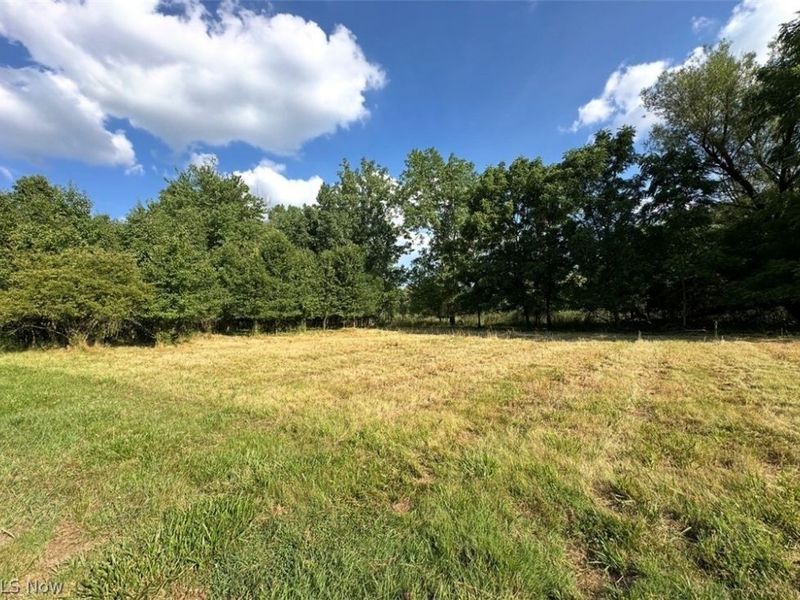 5218 Birkdale Street NW, Canton, OH 44708 Photo 6
